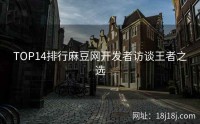 TOP14排行麻豆网开发者访谈王者之选