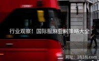 行业观察！国际服麻豆网策略大全