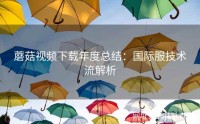 蘑菇视频下载年度总结：国际服技术流解析