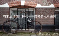 周末活动国产探花——隐藏要点彩蛋揭秘
