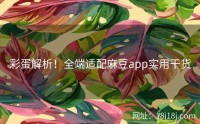 彩蛋解析！全端适配麻豆app实用干货
