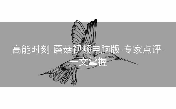 高能时刻-蘑菇视频电脑版-专家点评-一文掌握