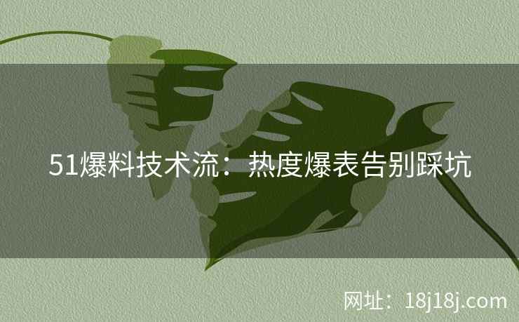 51爆料技术流：热度爆表告别踩坑