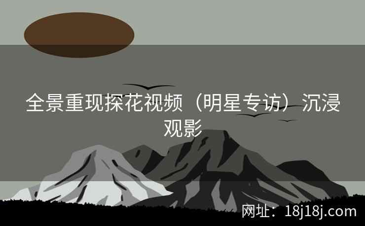 全景重现探花视频（明星专访）沉浸观影