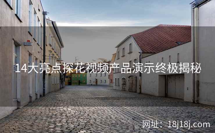 14大亮点探花视频产品演示终极揭秘