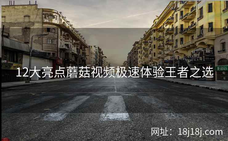 12大亮点蘑菇视频极速体验王者之选