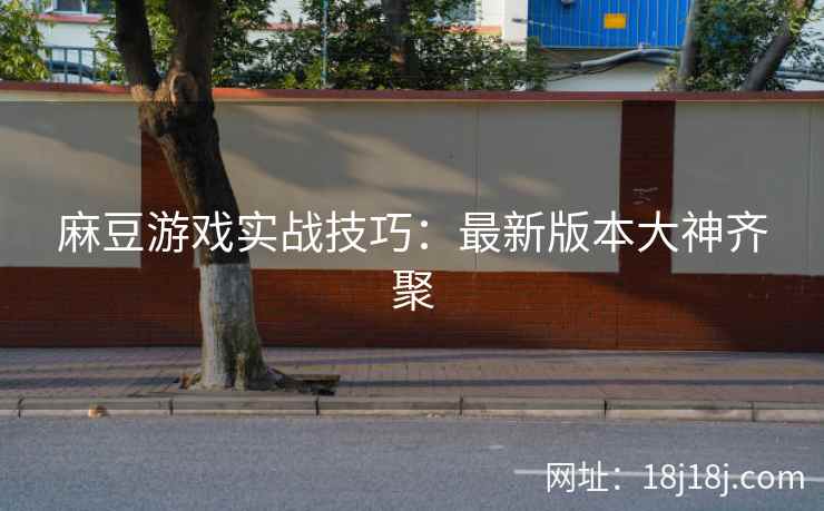 麻豆游戏实战技巧：最新版本大神齐聚
