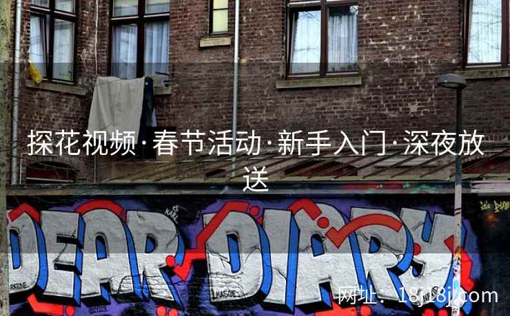 探花视频·春节活动·新手入门·深夜放送