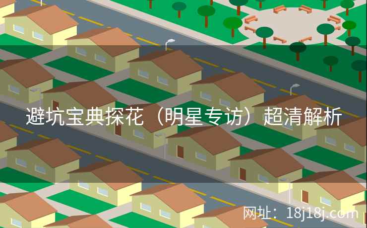 避坑宝典探花（明星专访）超清解析