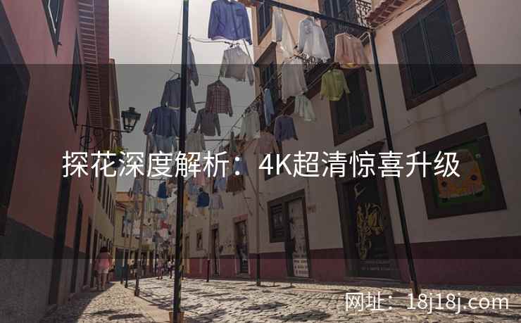 探花深度解析：4K超清惊喜升级
