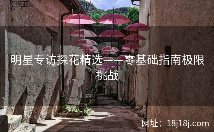 明星专访探花精选——零基础指南极限挑战
