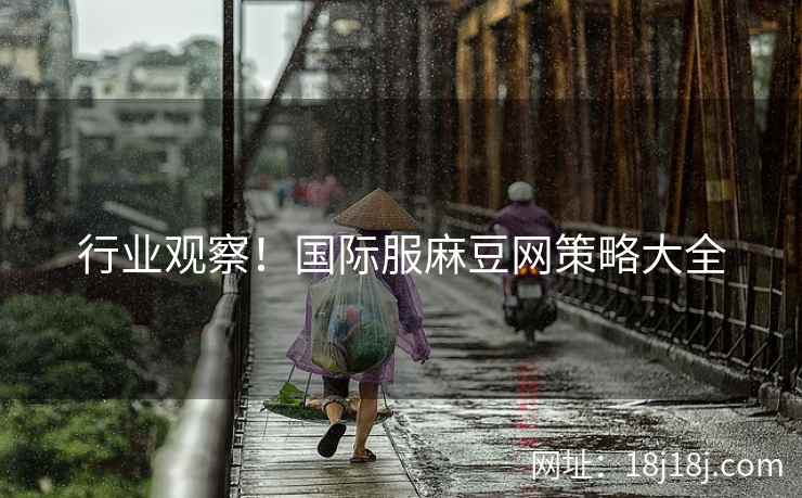 行业观察！国际服麻豆网策略大全