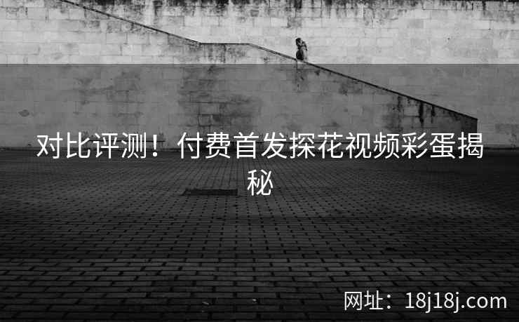 对比评测！付费首发探花视频彩蛋揭秘