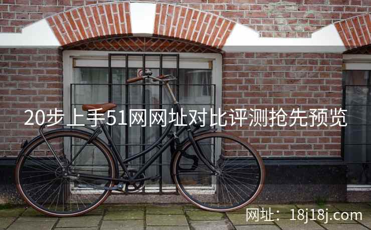 20步上手51网网址对比评测抢先预览