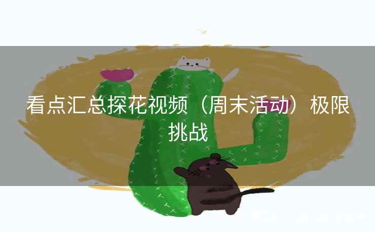 看点汇总探花视频（周末活动）极限挑战